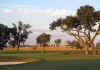 CC-Charleston-golf-7th.jpg (91842 bytes)